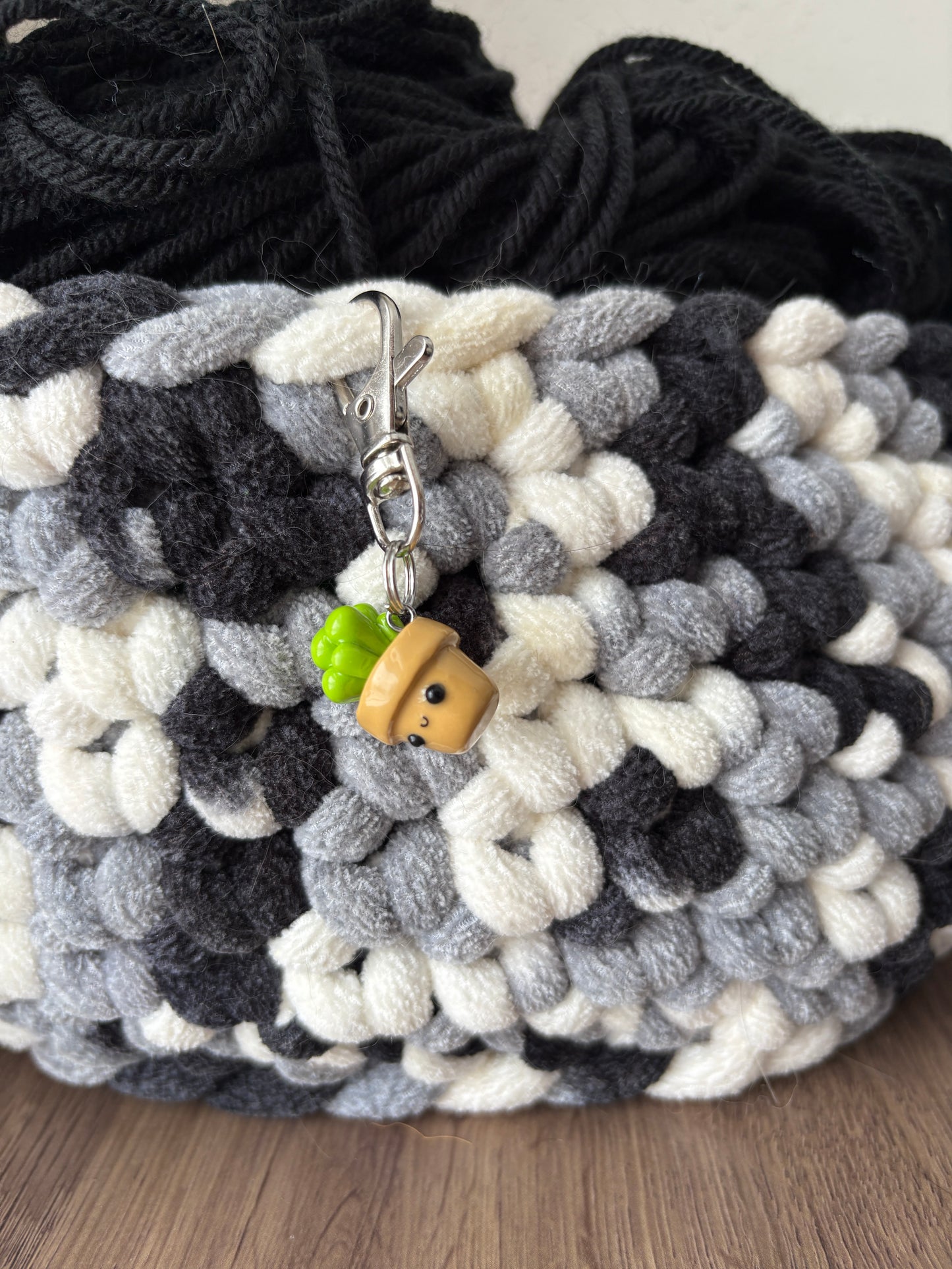 Cute Potted Succulent