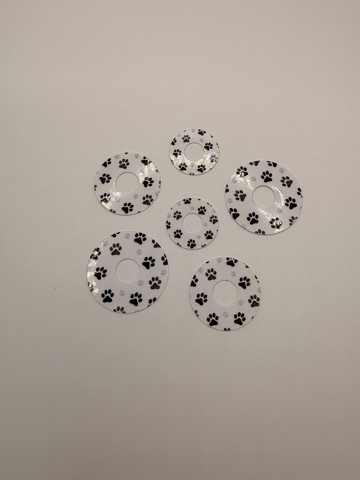 Paw Prints