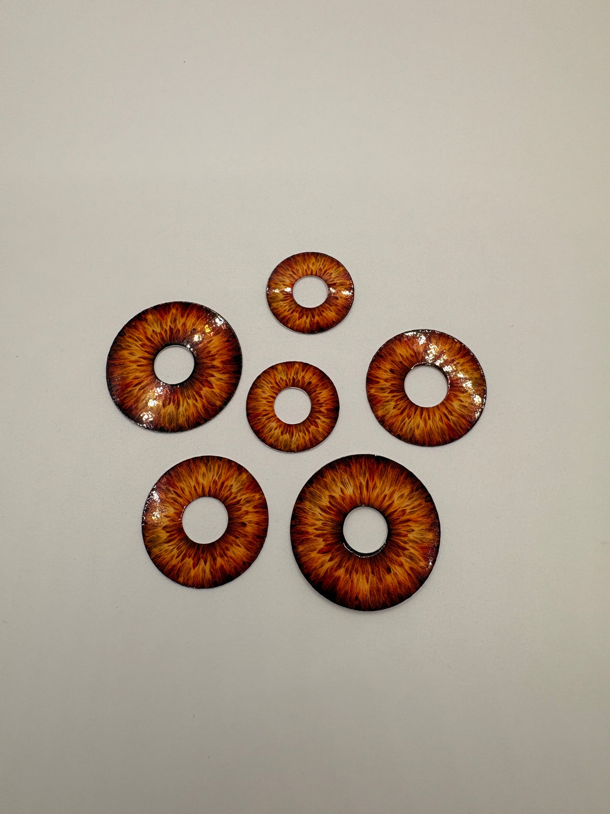 Brown Iris