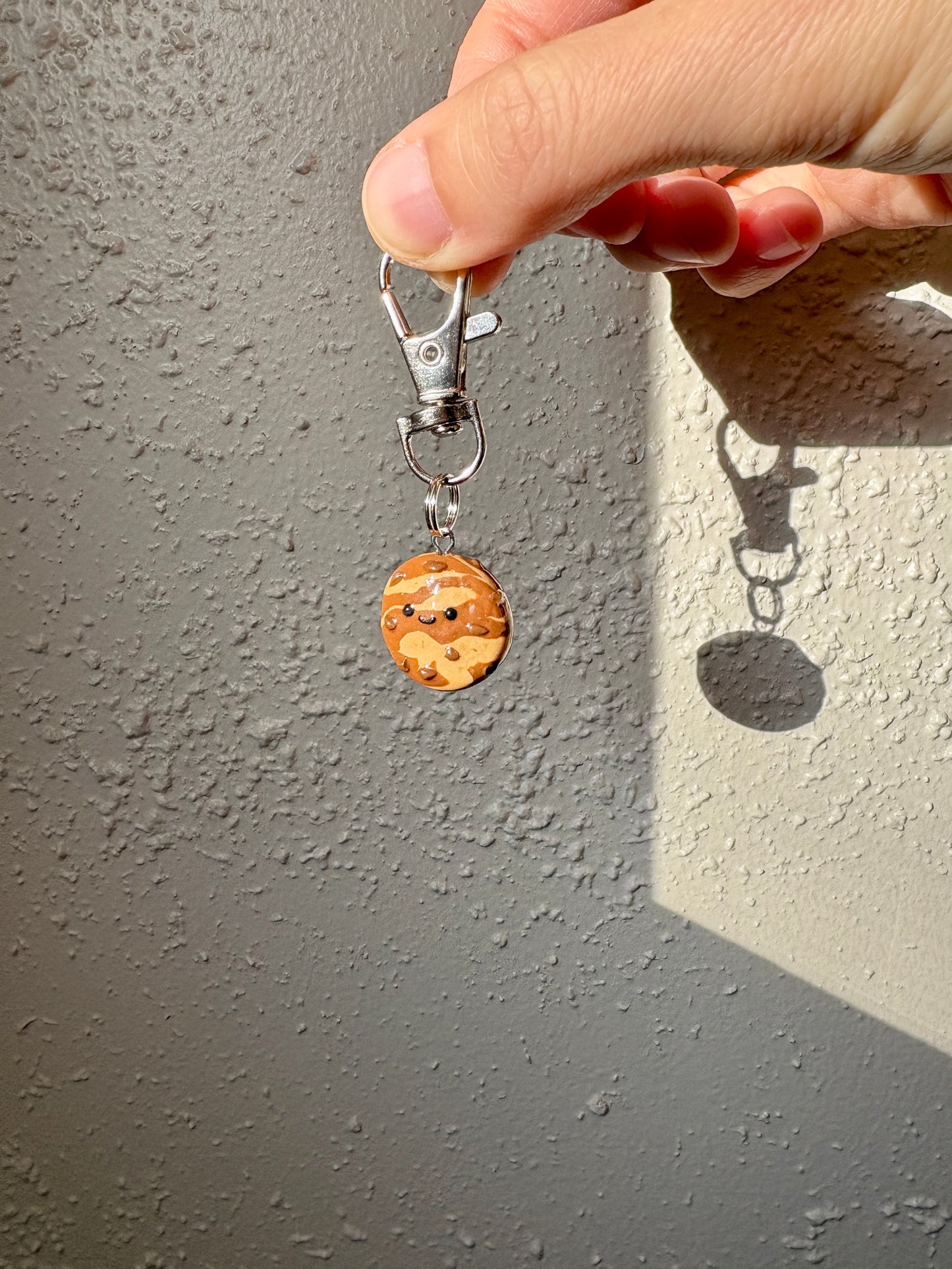 Chocolate Chip Marble Cookie