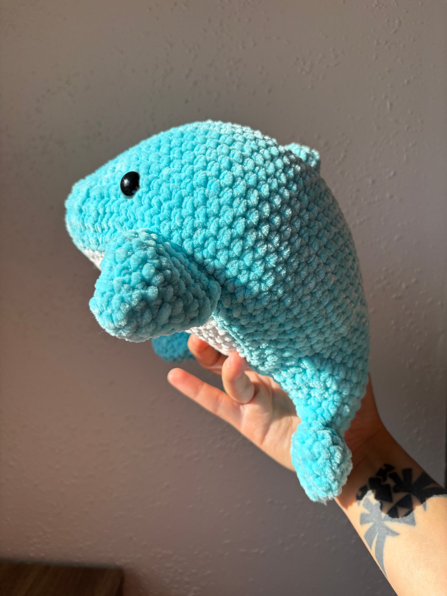 Dolphin