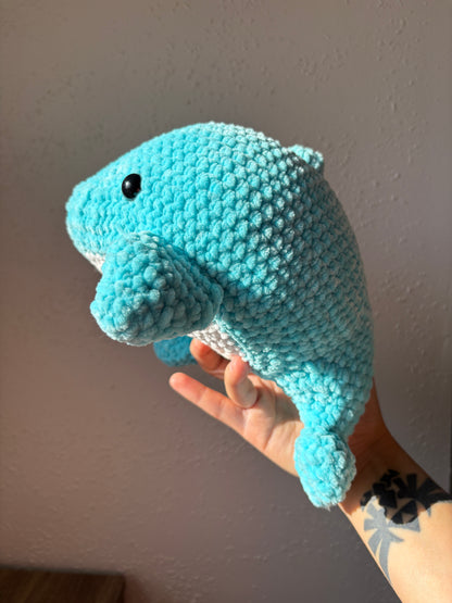 Dolphin