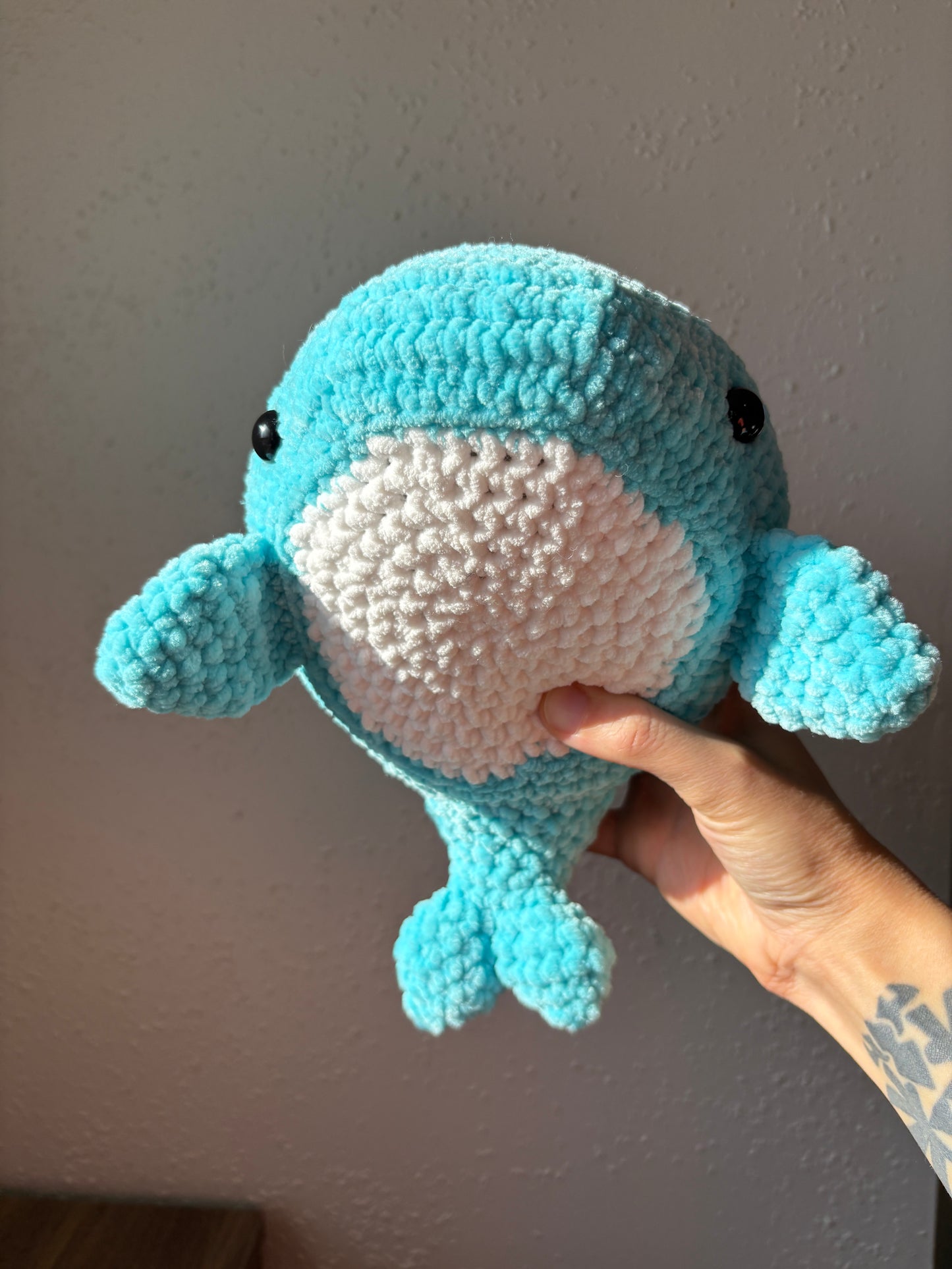 Dolphin