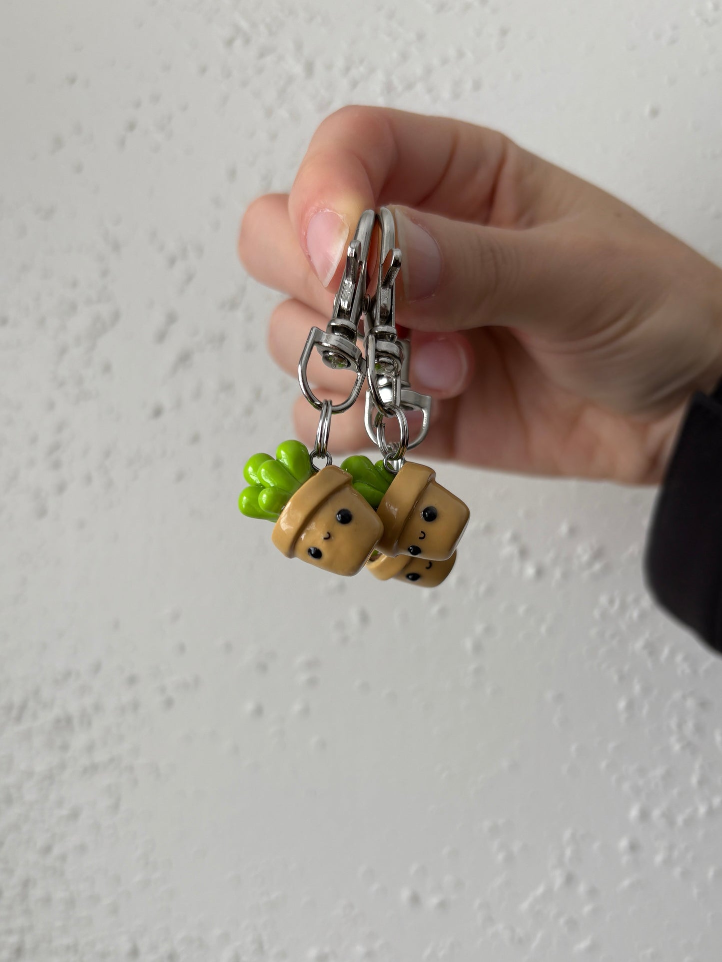 Cute Potted Succulent