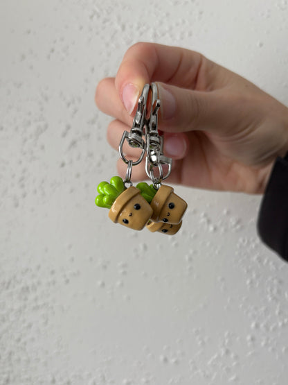 Cute Potted Succulent