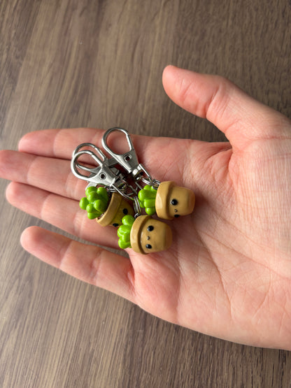 Cute Potted Succulent