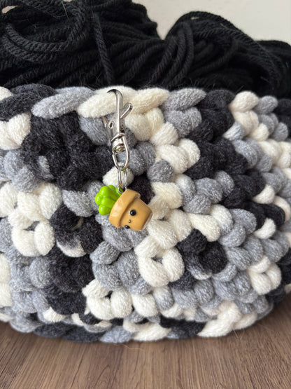 Cute Potted Succulent