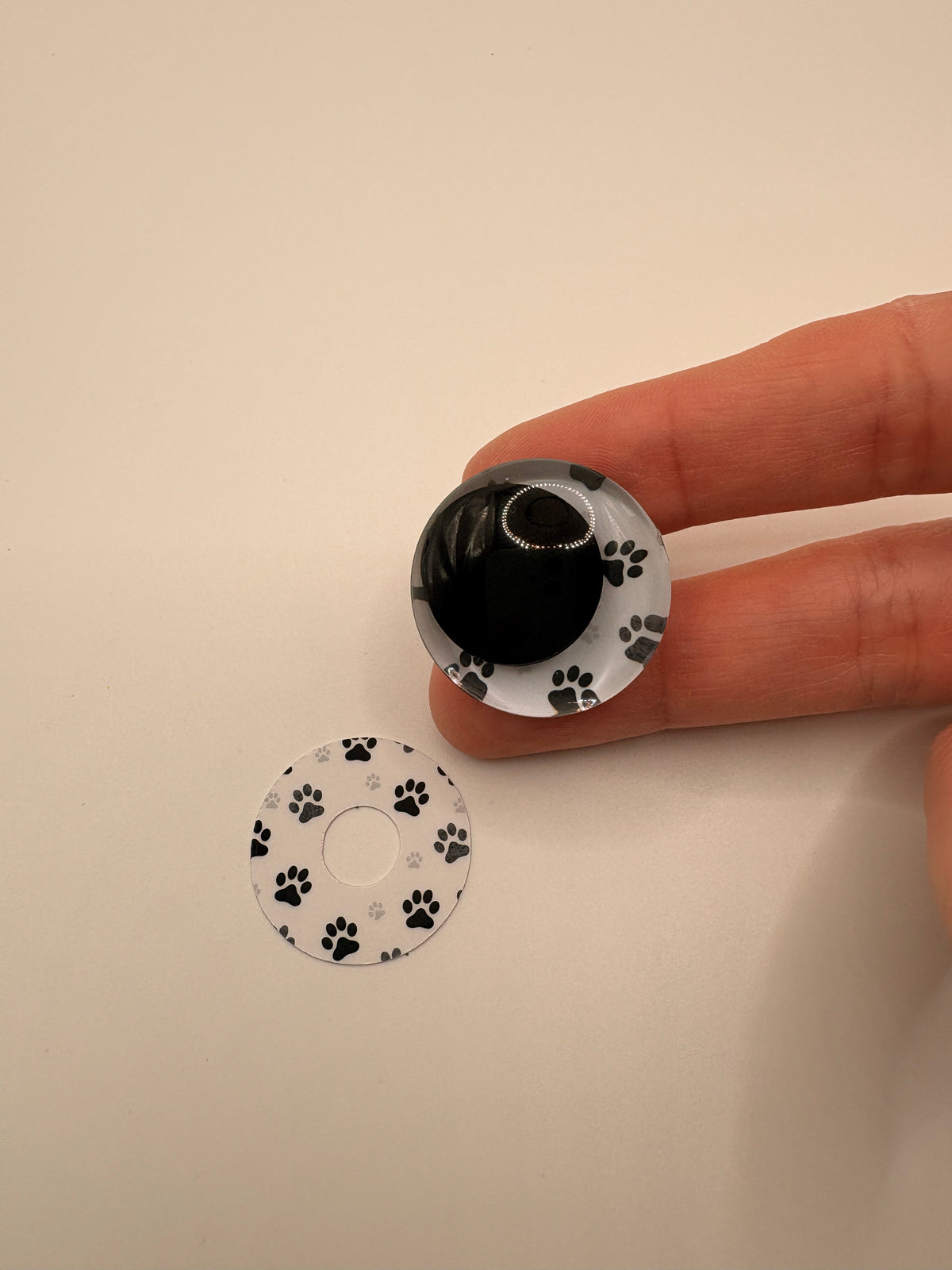 Paw Prints