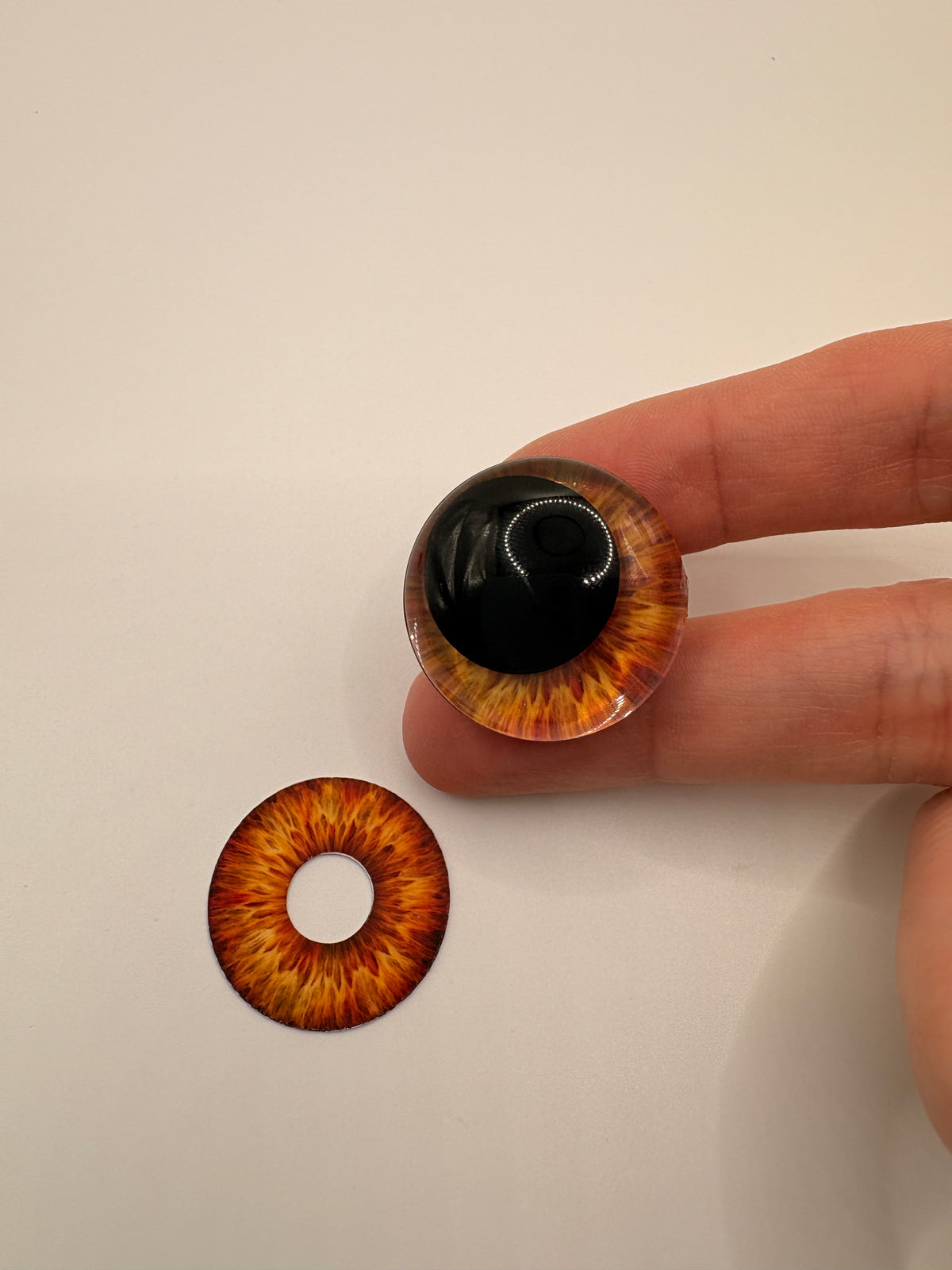 Brown Iris