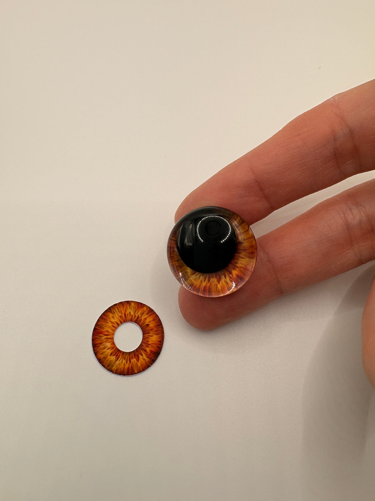 Brown Iris