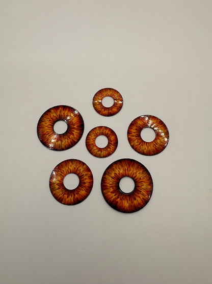 Brown Iris