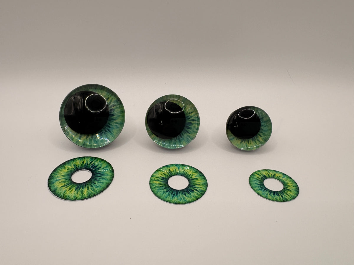 Blue-Green Iris