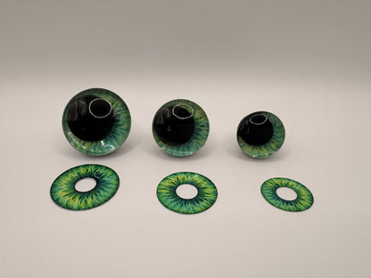 Blue-Green Iris