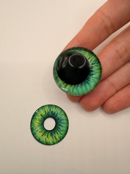 Blue-Green Iris