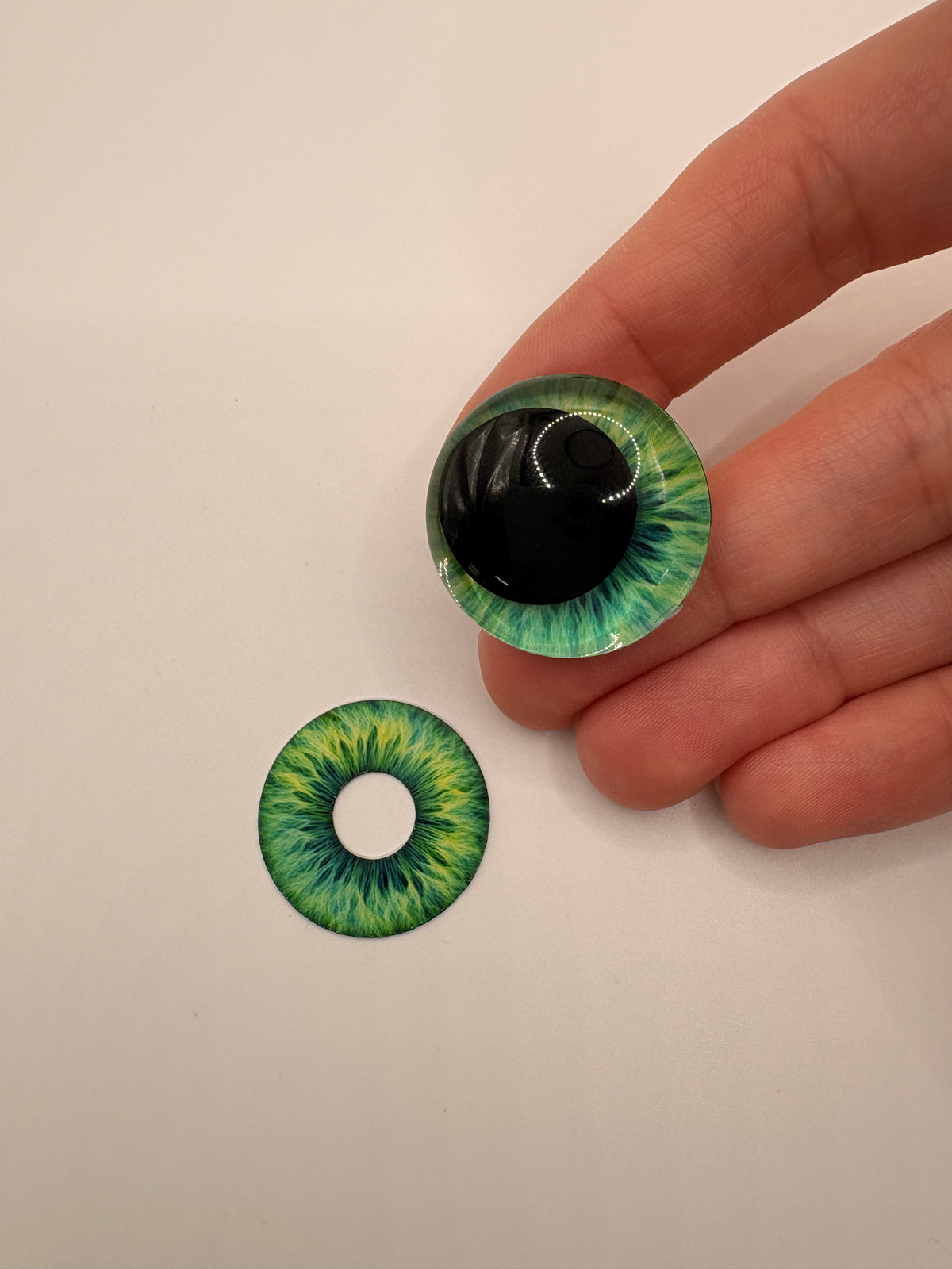 Blue-Green Iris
